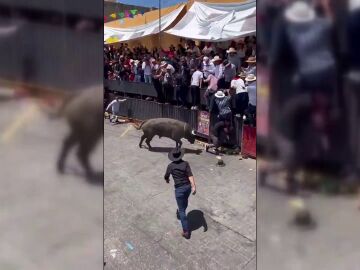 Un toro embiste a un hombre en México
