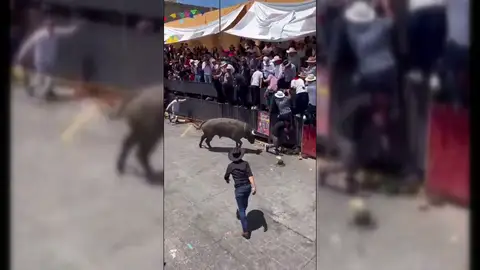 Un toro embiste a un hombre en México