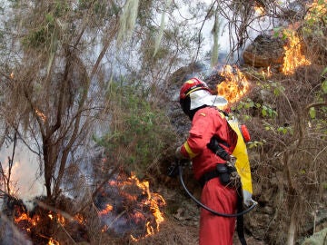 Imagen de un bombero tratando de apagar el fuego de Tenerife