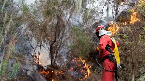 Imagen de un bombero tratando de apagar el fuego de Tenerife