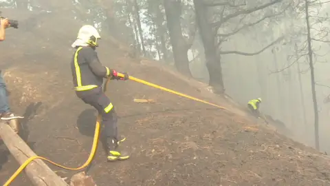 Incendio Tenerife Incendio Tenerife