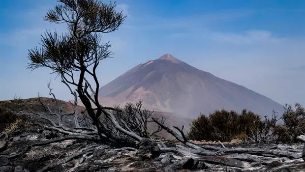 Incendio en Tenerife