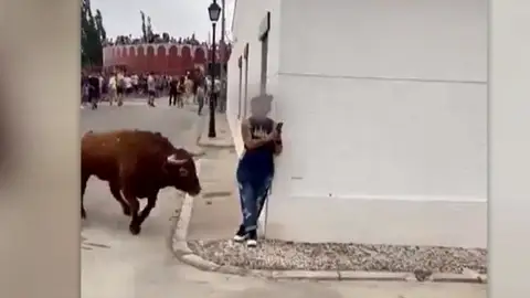 Momento en el que el toro embiste a una mujer que estaba mirando el móvil Momento en el que el toro embiste a una mujer que estaba mirando el móvil