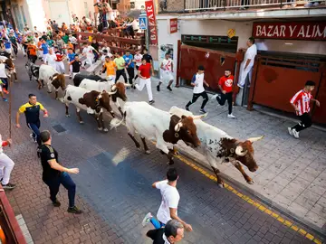 El primer encierro de 2023 de San Sebastián de los Reyes El primer encierro de 2023 de San Sebastián de los Reyes