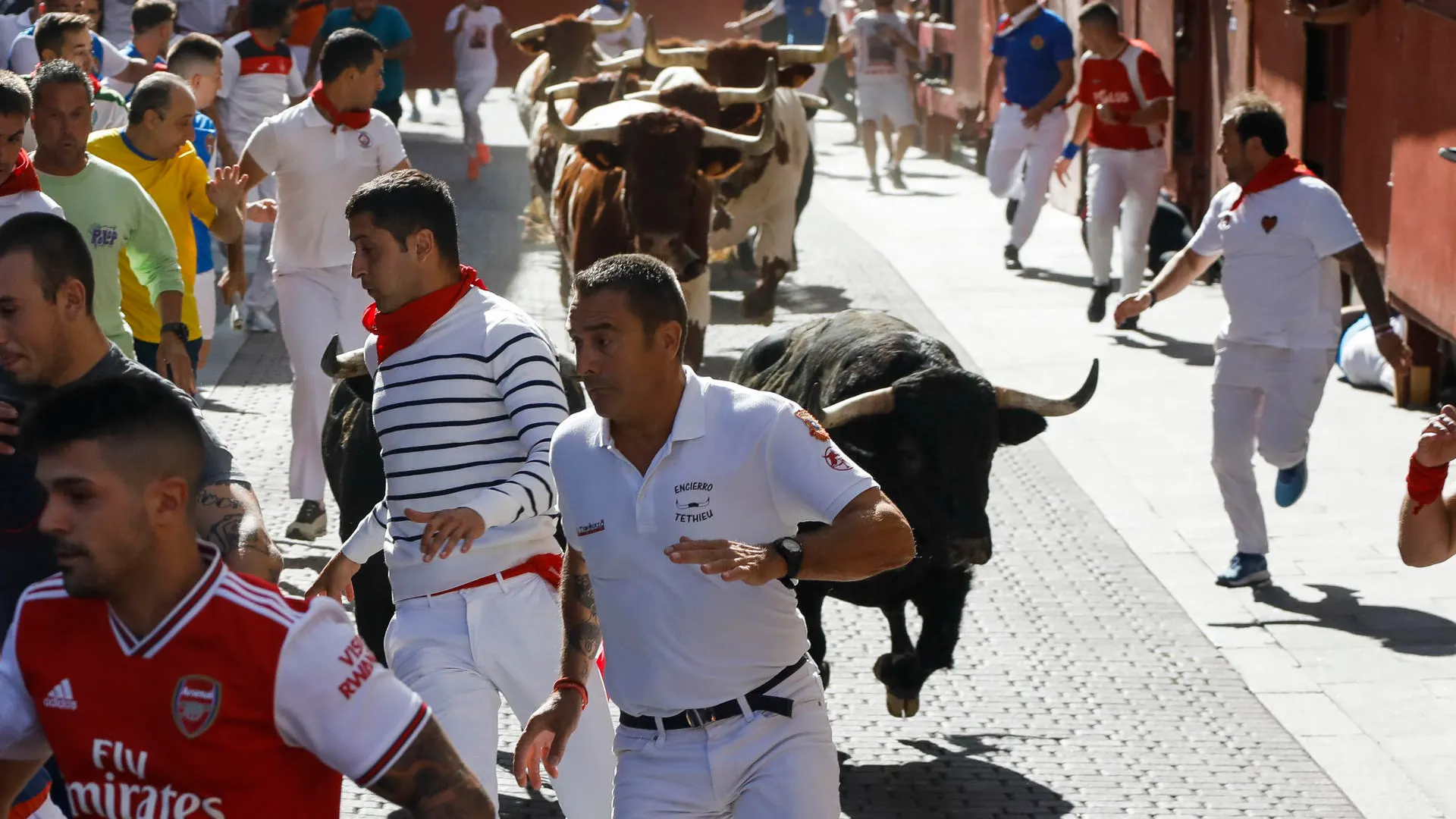 Imagen del segundo encierro de San Sebasti&aacute;n de los Reyes
