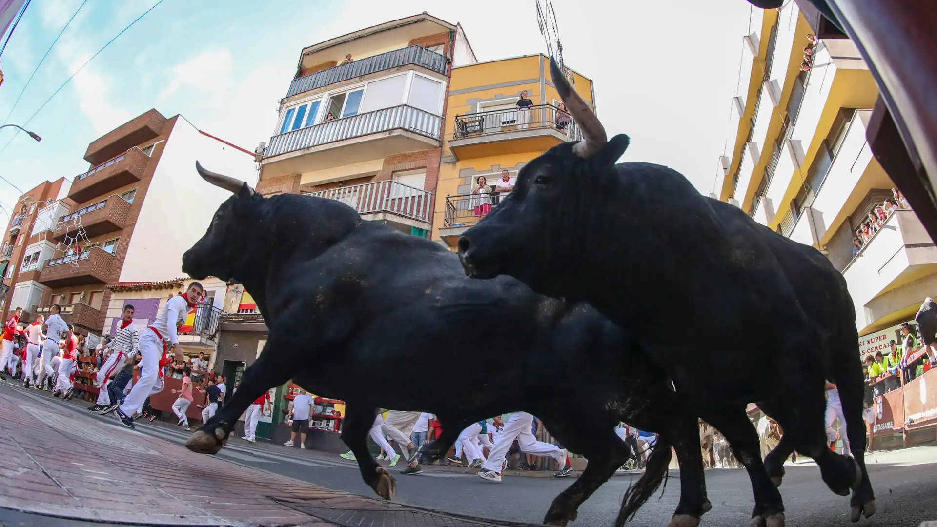 Segundo encierro de las fiestas de San Sebastián de los Reyes Segundo encierro de las fiestas de San Sebastián de los Reyes