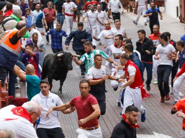 Mozos y toros durante el recorrido del sexto encierro de las fiestas de San Sebastián de los Reyes