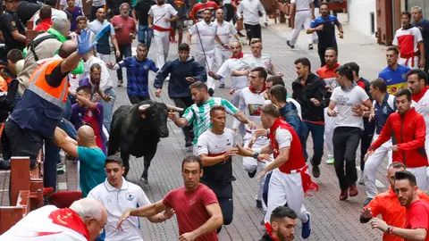 Mozos y toros durante el recorrido del sexto encierro de las fiestas de San Sebastián de los Reyes
