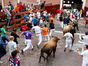 Vista de los mozos y los toros durante el recorrido del séptimo encierro Vista de los mozos y los toros durante el recorrido del séptimo encierro
