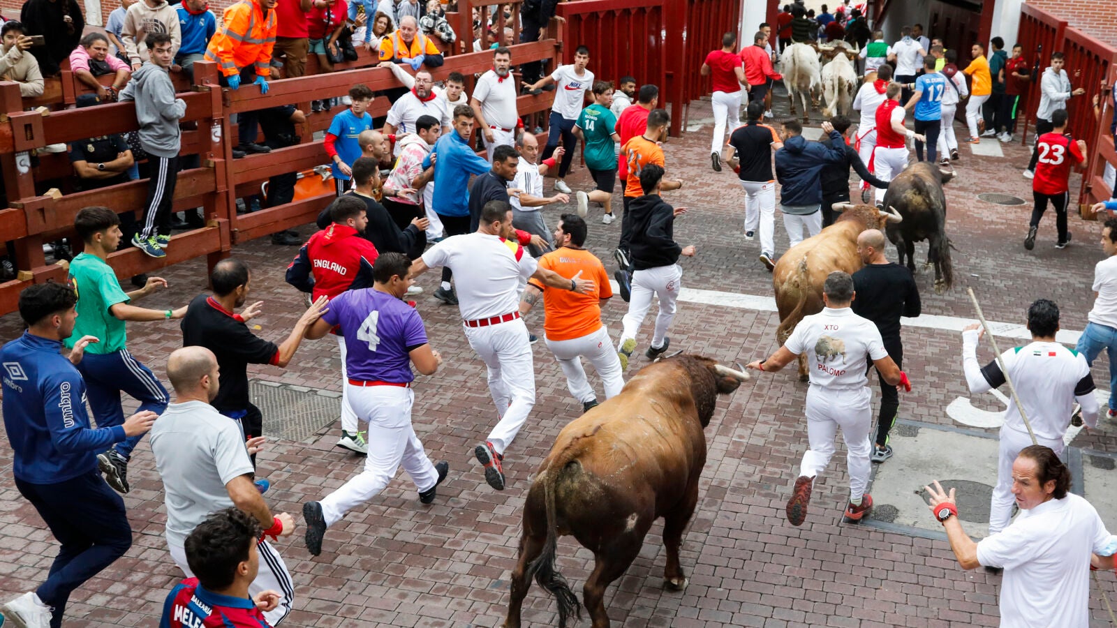 San Sebastián de los Reyes pone el broche final a sus fiestas con un último encierro apasionante
