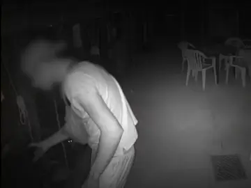 Joven de 28 años arrestado por robar y matar gatos Joven de 28 años arrestado por robar y matar gatos