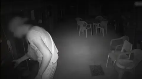 Joven de 28 años arrestado por robar y matar gatos Joven de 28 años arrestado por robar y matar gatos