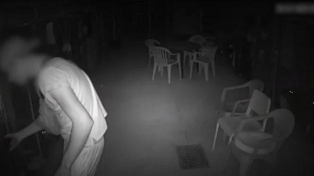 Joven de 28 a&ntilde;os arrestado por robar y matar gatos