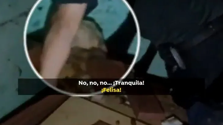 Rescate de Felissa
