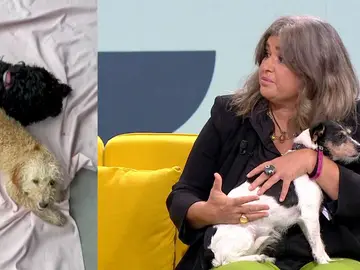 Lucía Etxebarría en Espejo Público. Lucía Etxebarría en Espejo Público.