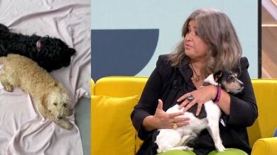 Animales meteosensibles: Lucía Etxebarría relata el calvario de su perrita Amy cada vez que cambia el tiempo
