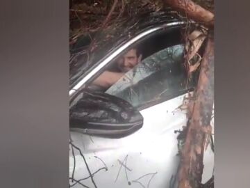 Vídeo: Un joven sobrevive (y sonríe) después de que le cayera encima un árbol por el temporal en Nules