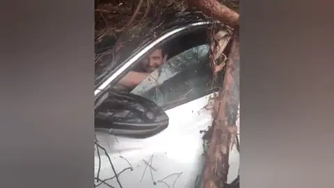 Vídeo: Un joven sobrevive (y sonríe) después de que le cayera encima un árbol por el temporal en Nules