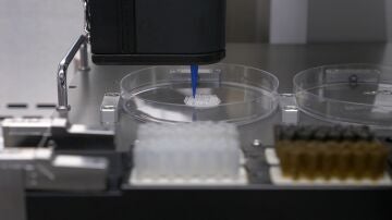 Investigadores de la UMH crean piel en 3D