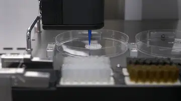 Investigadores de la UMH crean piel en 3D