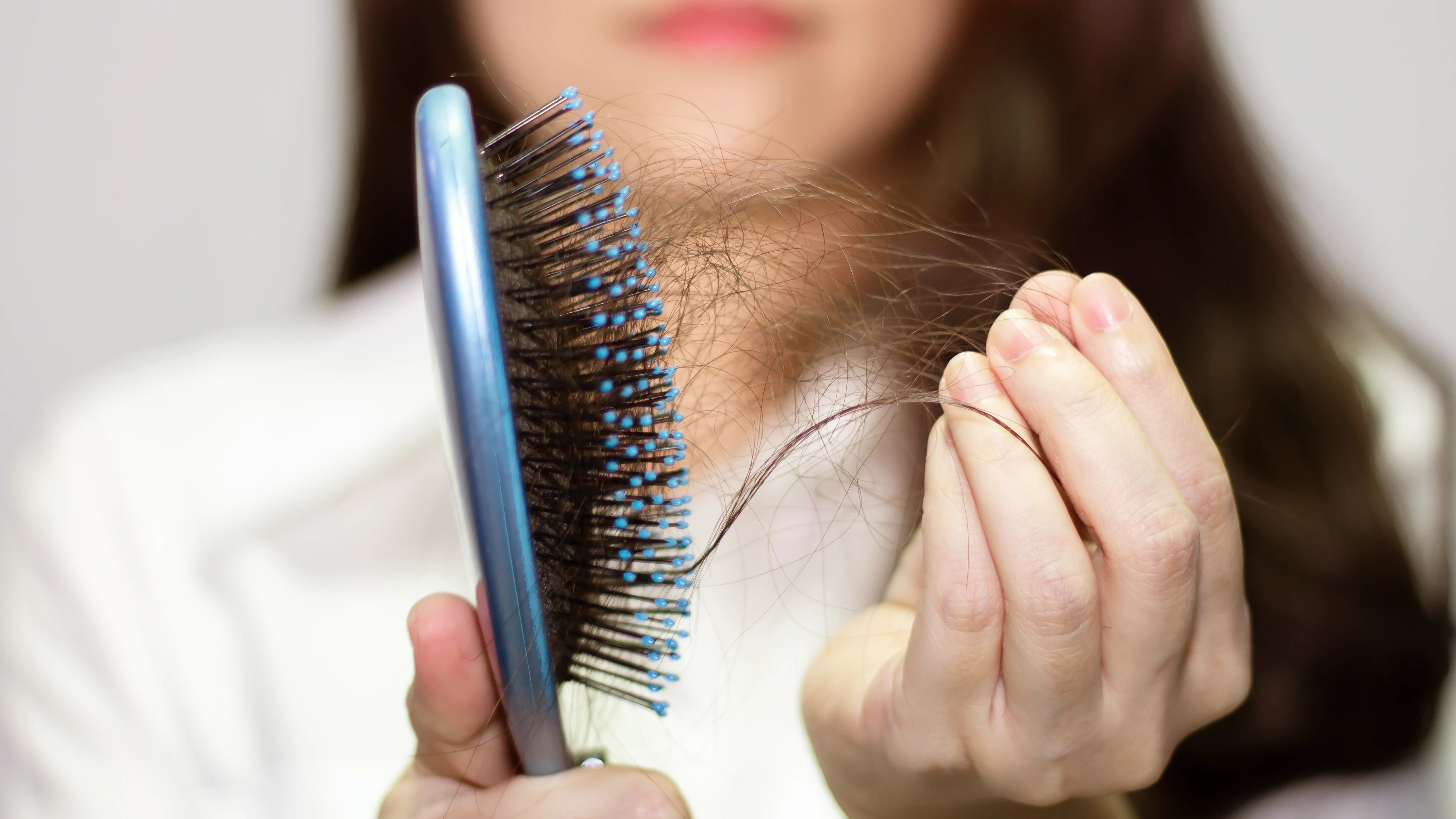 Pelo caído en un cepillo Pelo caído en un cepillo