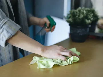 Limpieza del hogar Limpieza del hogar