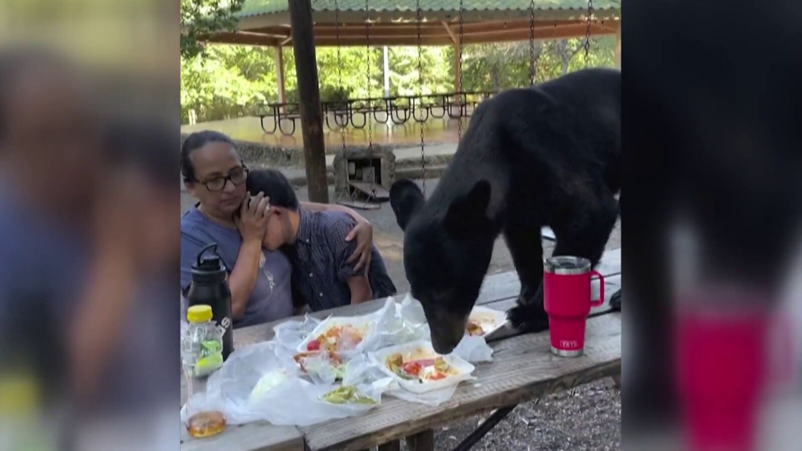 Vídeo: una familia permanece inmóvil mientras un oso se une al picnic y devora toda la comida