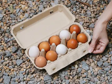 Huevera con huevos Huevera con huevos