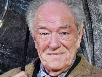 Michael Gambon