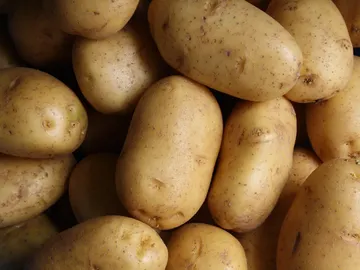 Patatas Patatas