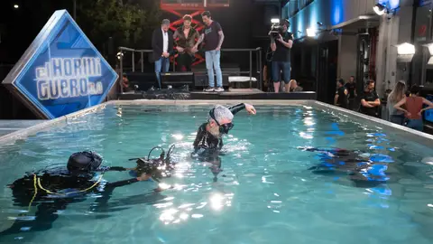 Ciencia Marron Ciencia Marron