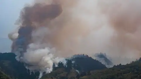 Incendio en Tenerife Incendio en Tenerife