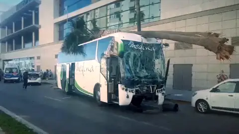 Tres muertos y varios heridos en un atropello mortal de un autobús que ha perdido el control en Cádiz