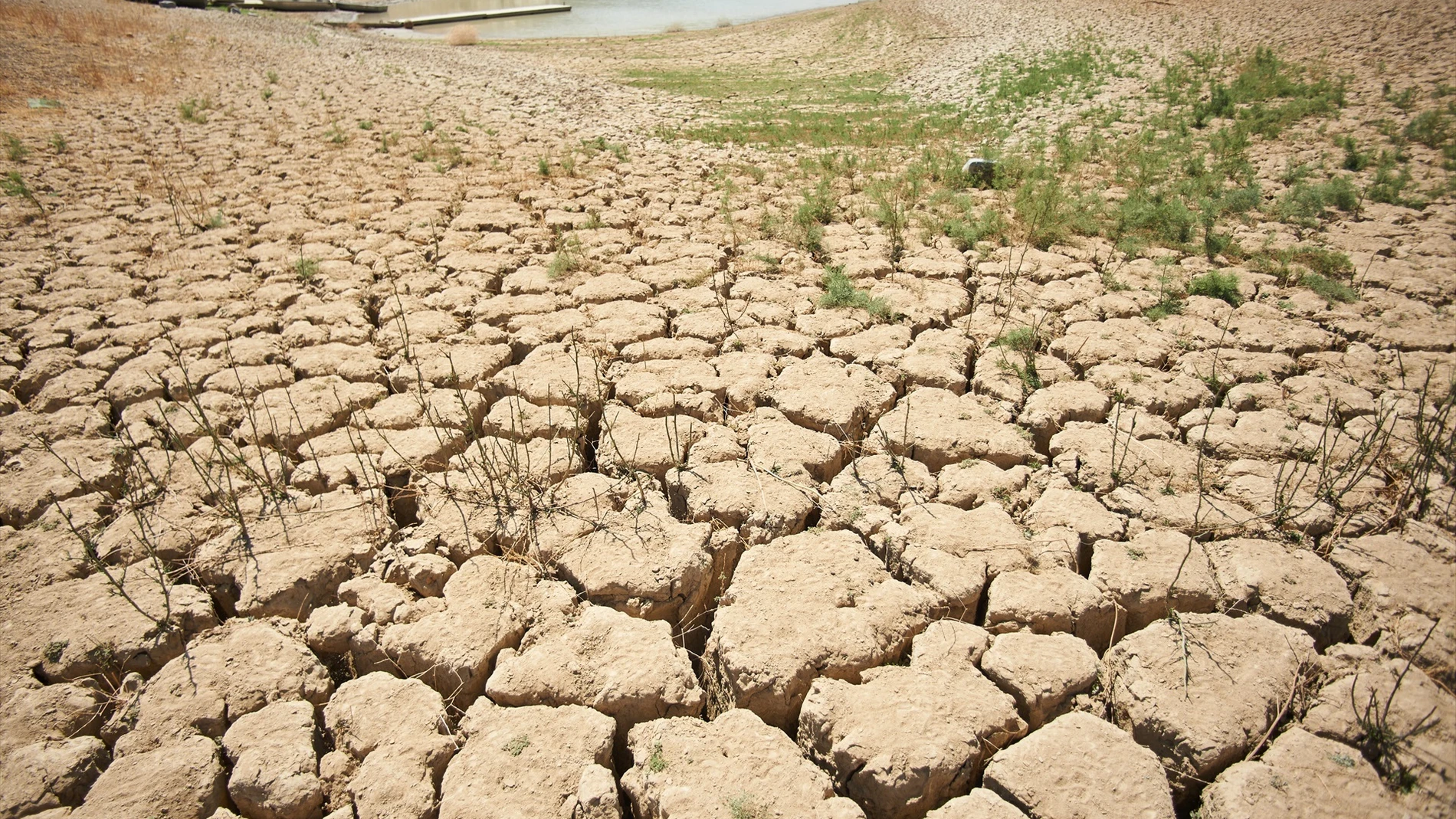 Imagen de archivo sequía