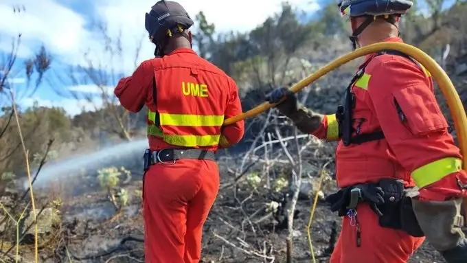 Efectivos de la UME en la reactivación del incendio de Tenerife Efectivos de la UME en la reactivación del incendio de Tenerife