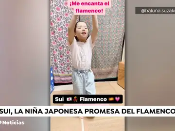 Japonesa flamenca Japonesa flamenca
