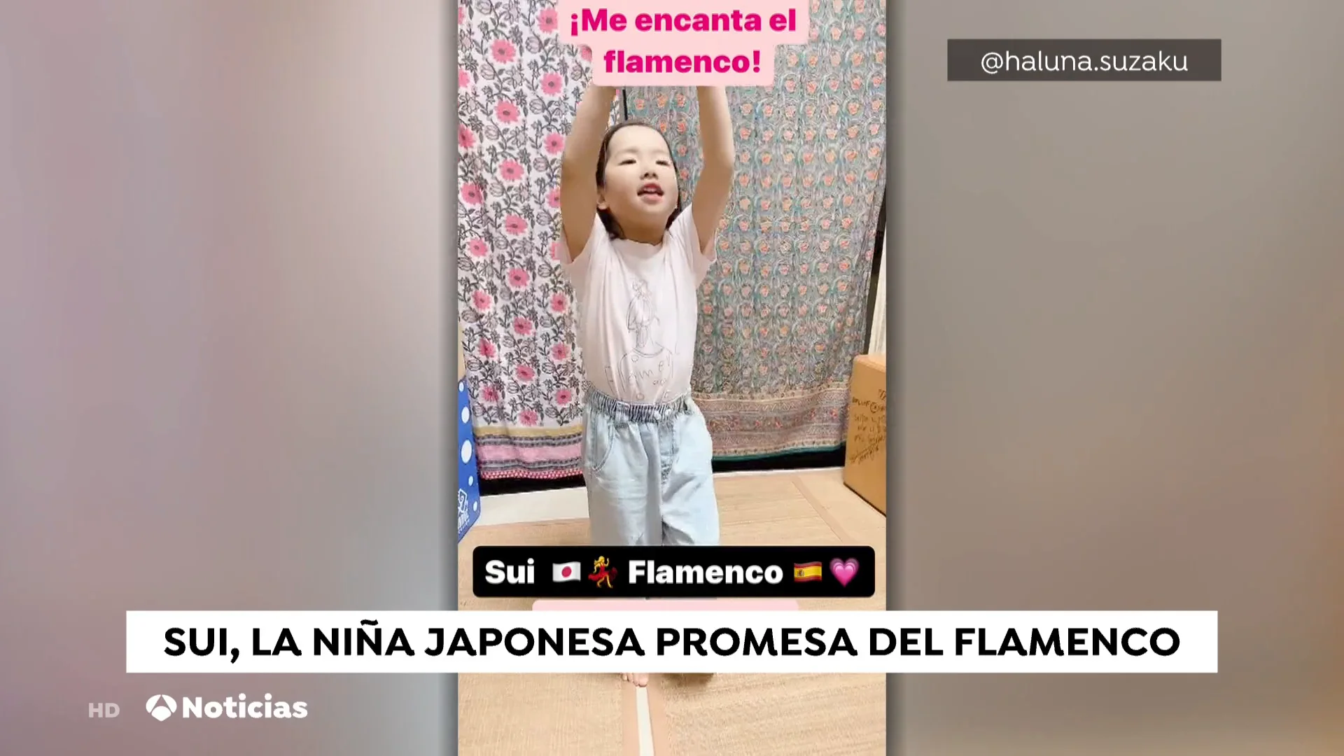 Japonesa flamenca Japonesa flamenca