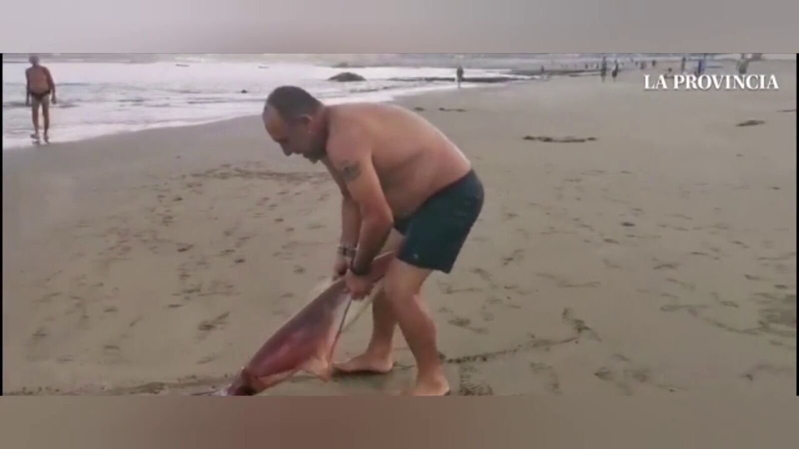 Pescan un calamar gigante en una playa de Gran Canaria
