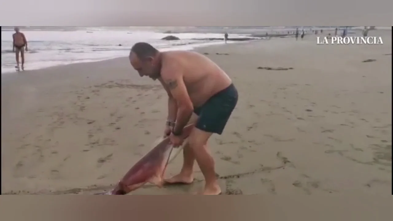 Pescan un calamar gigante en una playa de Gran Canaria Pescan un calamar gigante en una playa de Gran Canaria