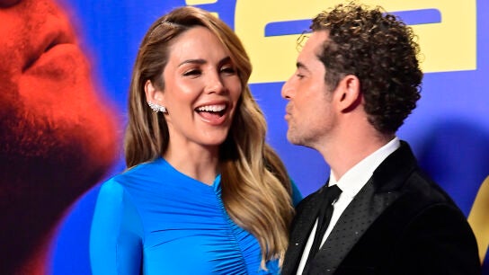 David Bisbal y Rosanna Zanetti