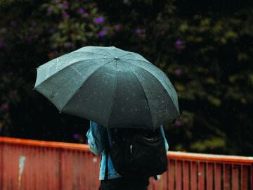 Persona de espaldas sujetando un paraguas mientras llueve 