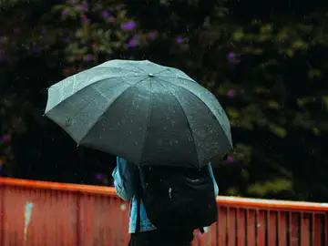 Persona de espaldas sujetando un paraguas mientras llueve Persona de espaldas sujetando un paraguas mientras llueve
