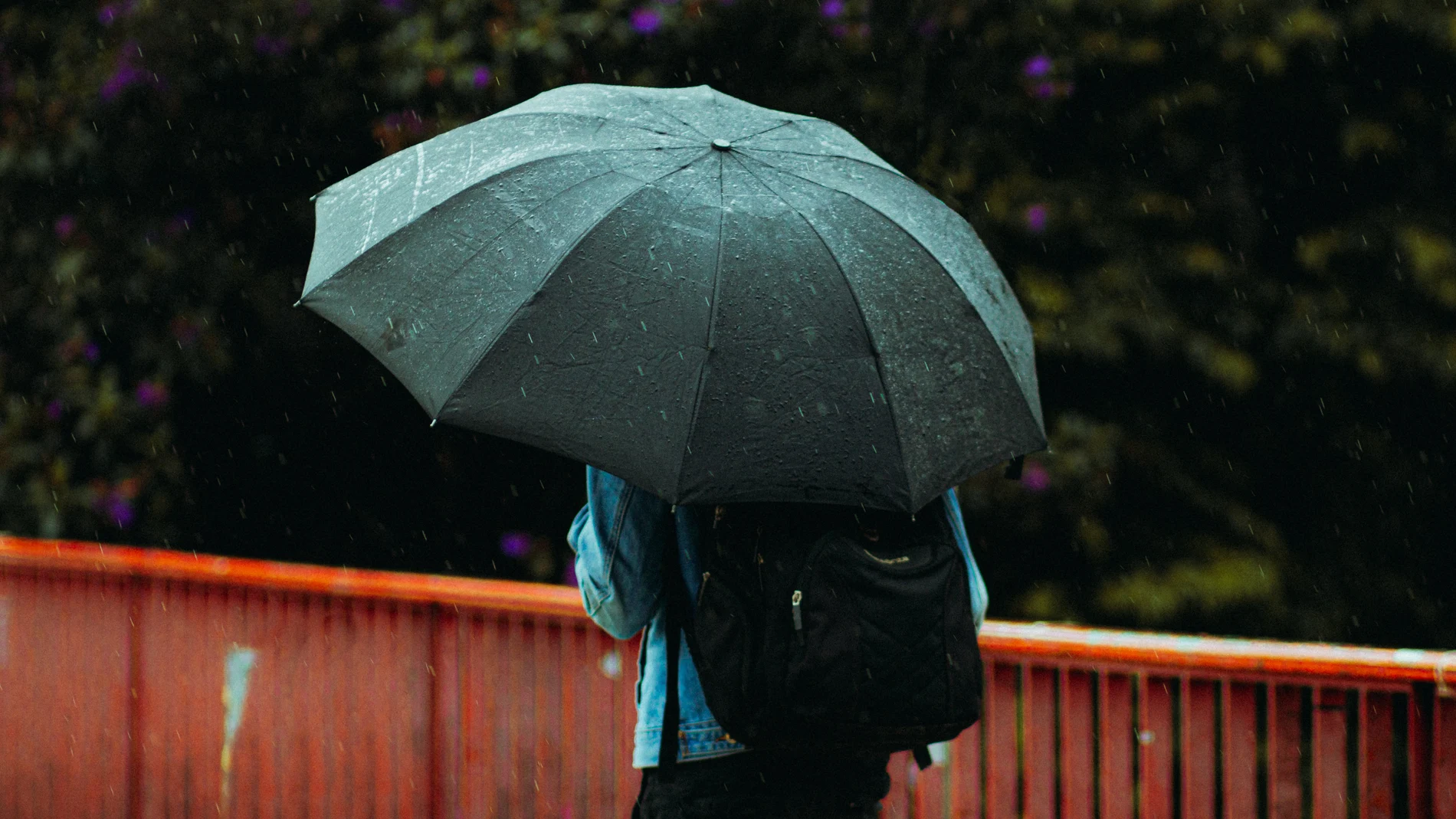 Persona de espaldas sujetando un paraguas mientras llueve 