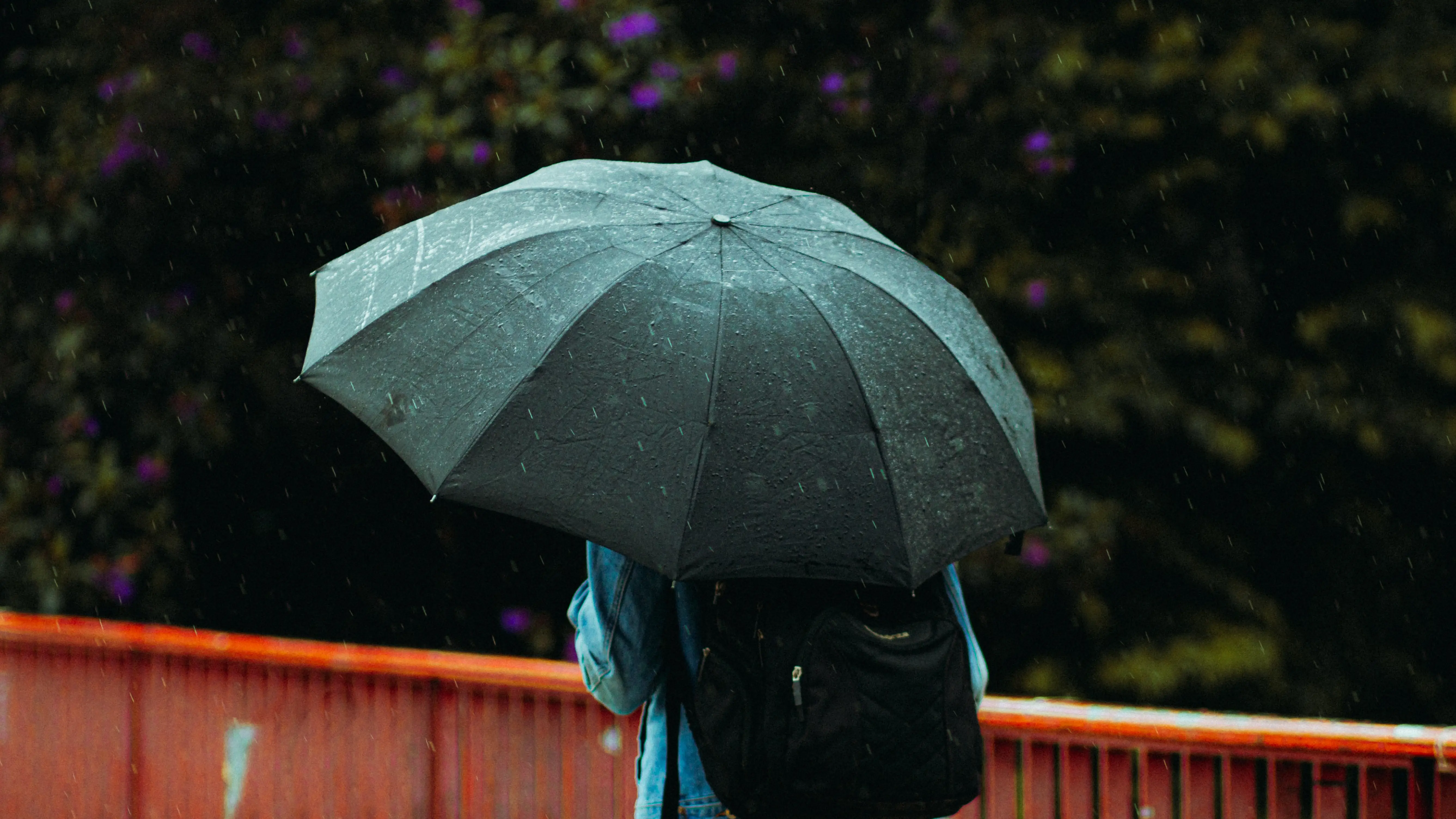 Persona de espaldas sujetando un paraguas mientras llueve Persona de espaldas sujetando un paraguas mientras llueve