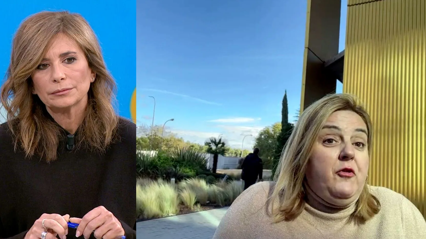 Pilar Vidal en Espejo Público. Pilar Vidal en Espejo Público.