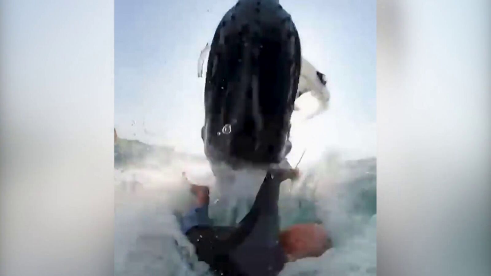Una ballena impacta de forma brutal contra un surfista que practicaba wingfoil en Australia