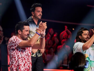 Luis Fonsi, Cali y el Dandee