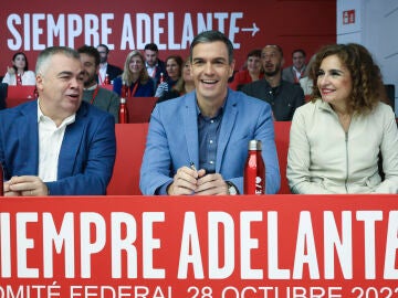 El presidente del Gobierno en funciones y líder socialista Pedro Sánchez