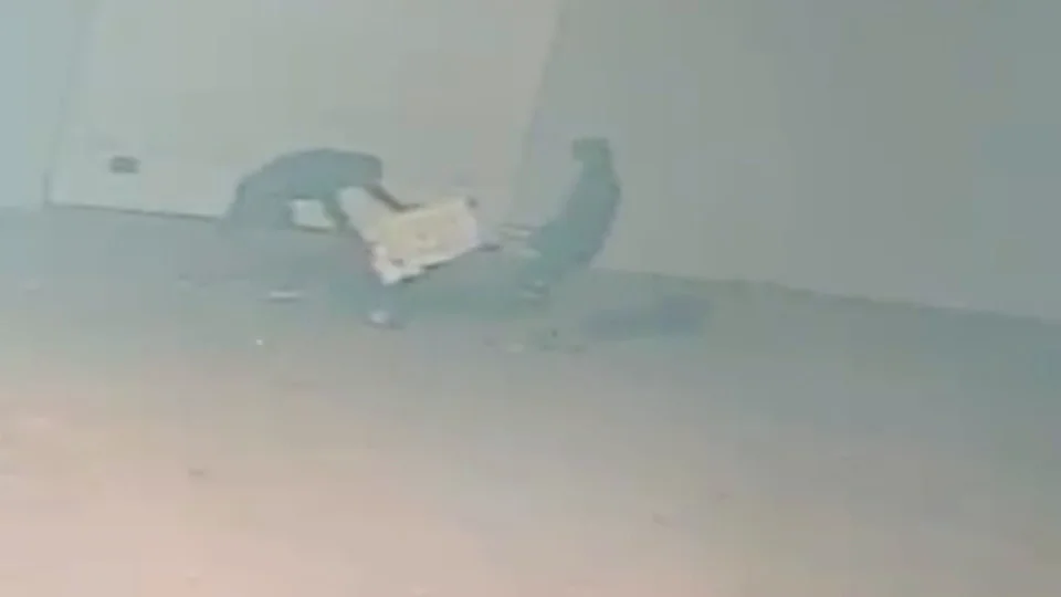Las cámaras de seguridad captaron alguno de los robos de los que se acusa a los detenidos Las cámaras de seguridad captaron alguno de los robos de los que se acusa a los detenidos