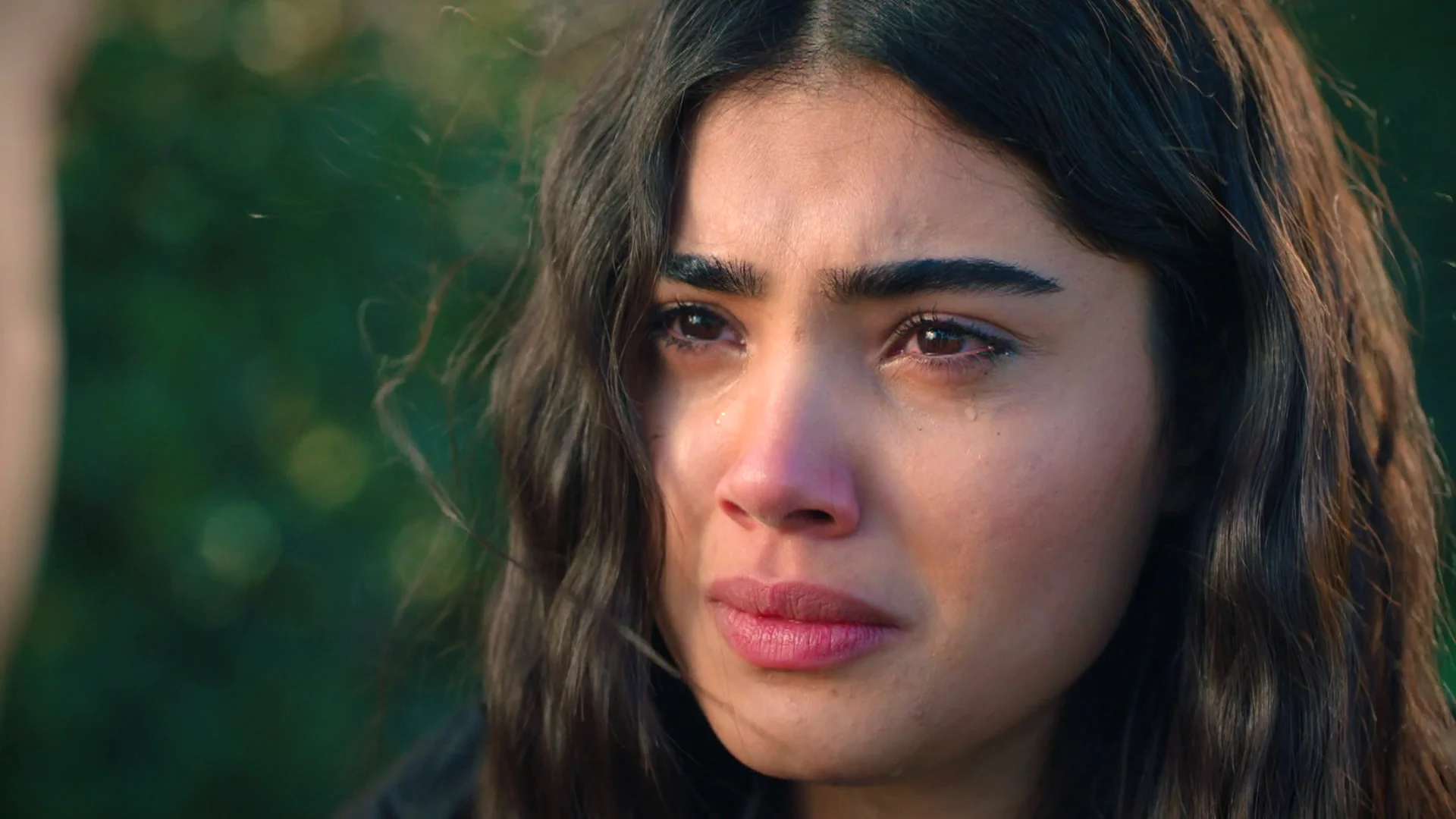 Sarp miente a Ömer para evitar que descubra su gran secreto: "Süsen y yo estamos saliendo" Sarp miente a Ömer para evitar que descubra su gran secreto: "Süsen y yo estamos saliendo"